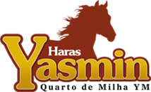 Haras Yasmin - Quarto de Milha YM